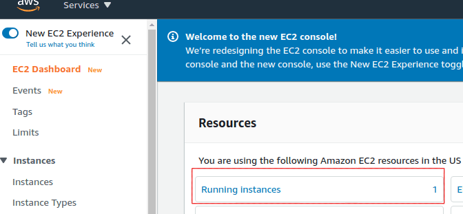 Go to your running instances.